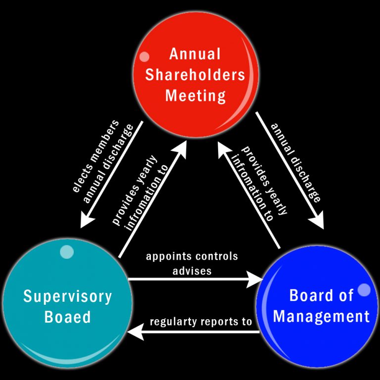 The Purpose of Corporate Governance Defined Plianced Inc.